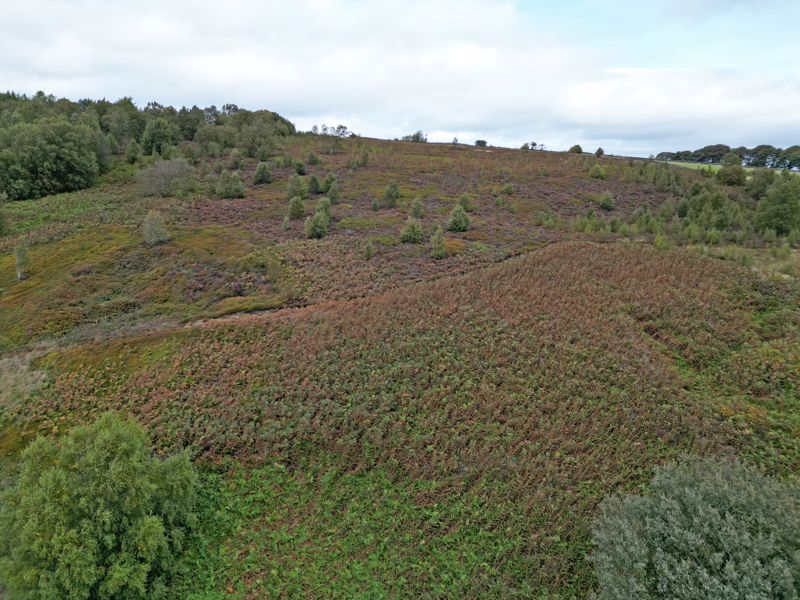 Manchester Road Hollow Meadows